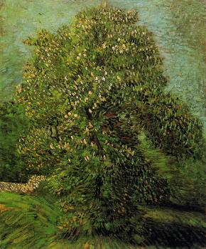 Vincent Van Gogh : Chestnut Tree in Bloom